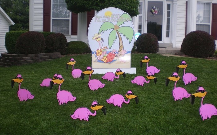 Flamingos